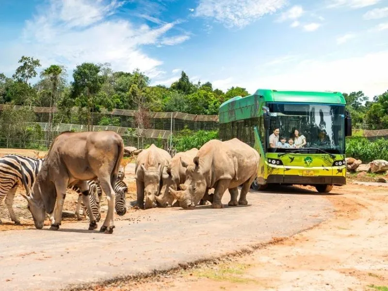 Vinpearl Safari Phú Quốc ở đâu & Hướng dẫn di chuyển