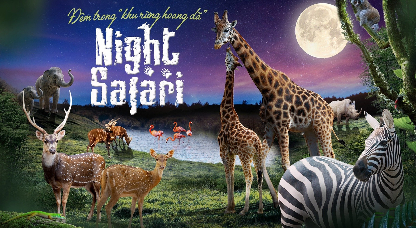 Night Safari Phú Quốc: Hành Trình Khám Phá Thiên Nhiên Hoang Dã Về Đêm