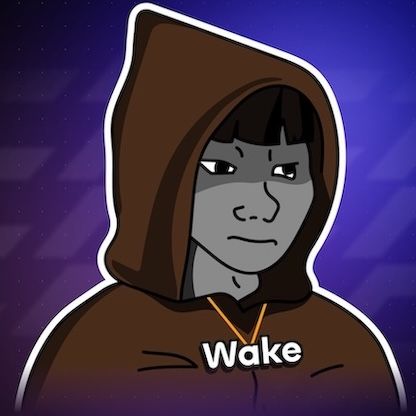 Wakehacker