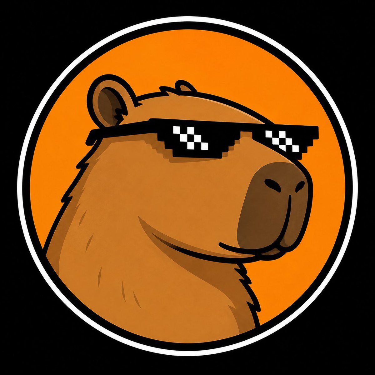 CAPY