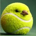 TENNISBIRD