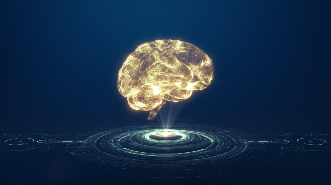 BRAIN
