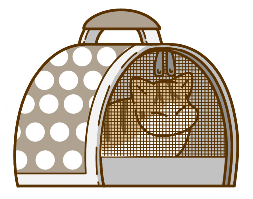 How Can I Bring My Dog To Japan