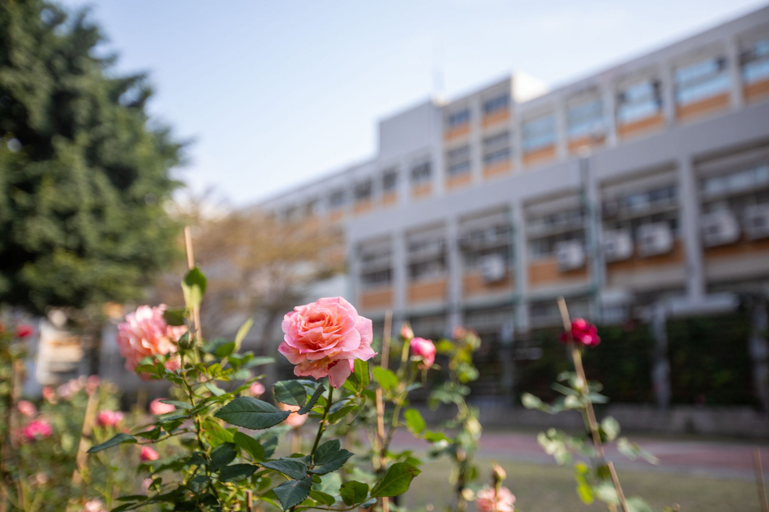 資訊電機學院