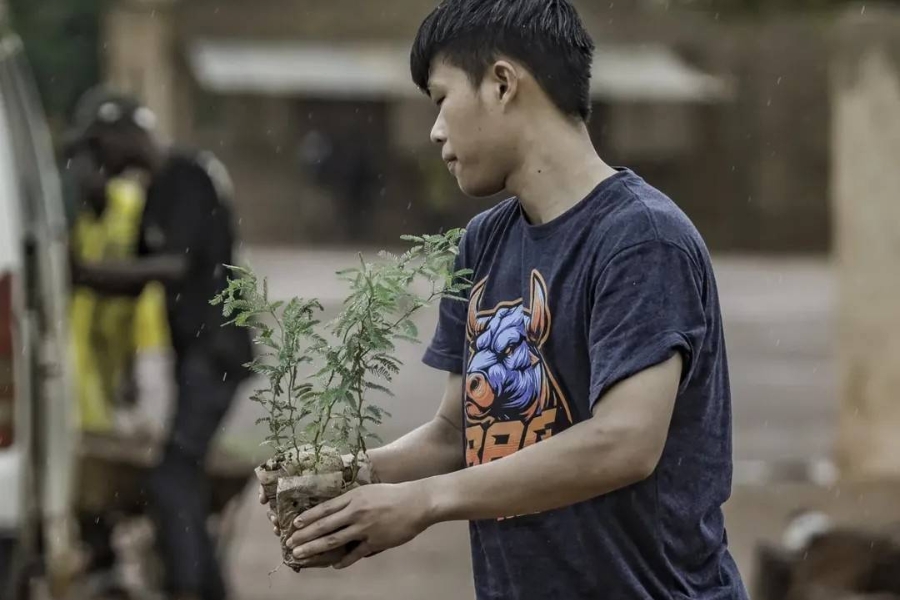 用雙手捧著幼小的樹苗，種下未來希望的大樹。