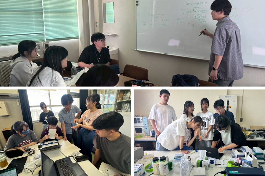 實作課程中,學生們親自操作實驗儀器並與日本助教熱烈討論的情境。