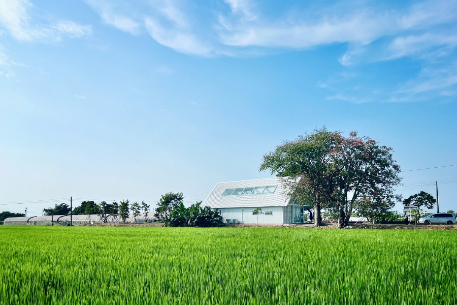位於彰化溪湖葡萄產區的「媽厝小書屋」為逢甲建築小書屋第十六號作品,榮獲 2025 年金點設計獎「整合設計類—公益設計」獎項肯定。