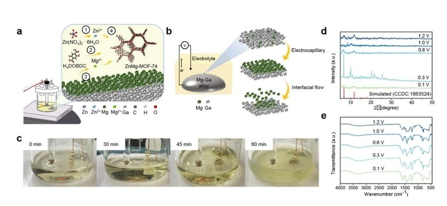 液態金屬陽極具自我修復與穩定離子釋放特性，可進行雙金屬-MOF-的室溫快速合成。