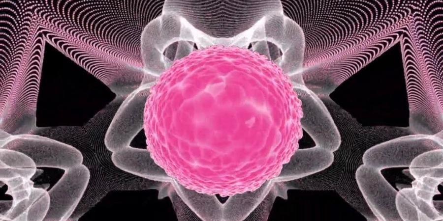 工工系副教授丘紀堇以作品《共生》(Symbiosis),奪下2026-TITAN-Innovation-in-Design銀獎殊榮。