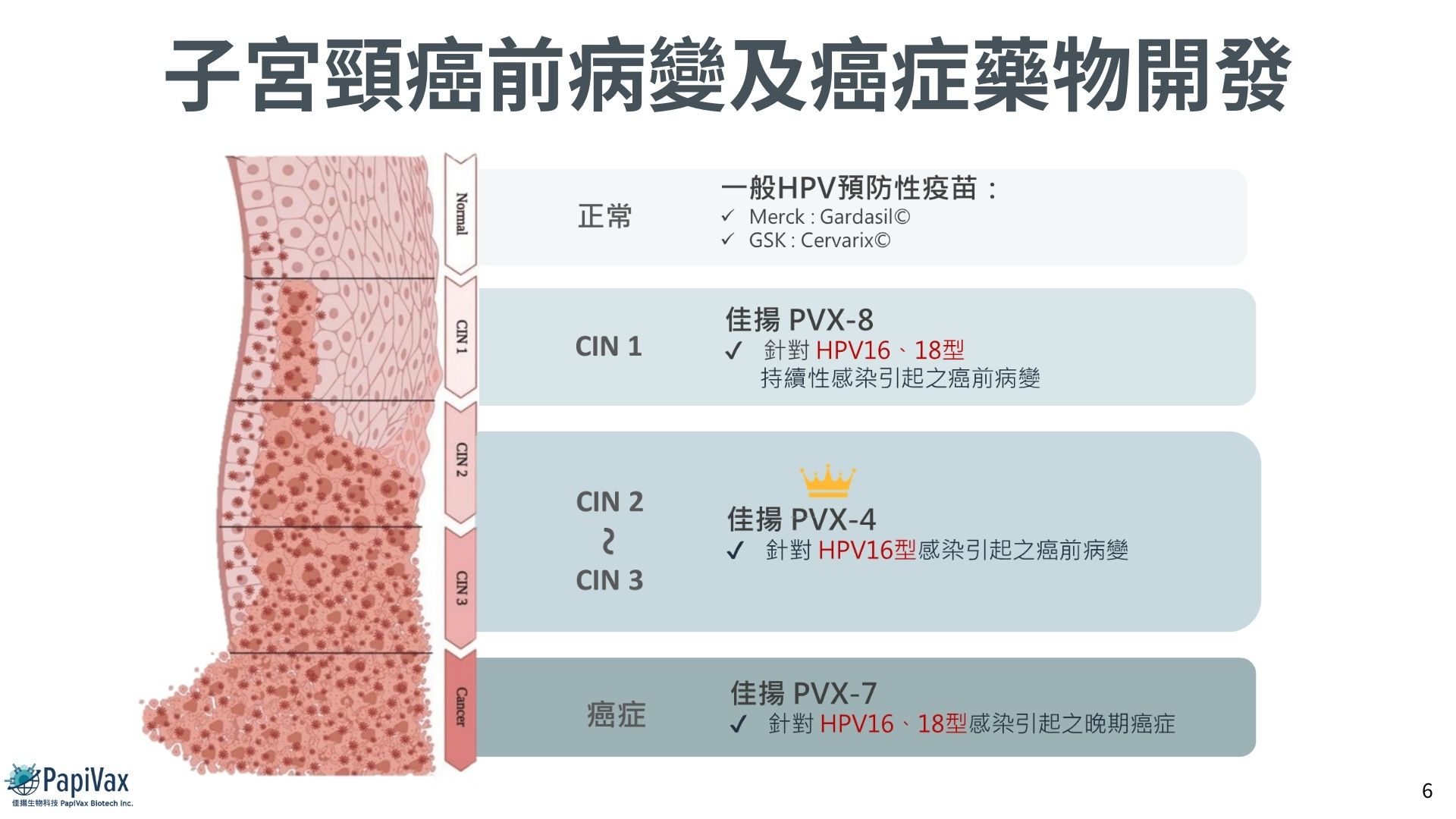 佳揚以HPV為切入點,開發出多個候選產品:PVX4、PVX7、PVX8。