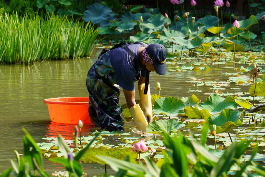 校園環境需要許多人力進行維護。