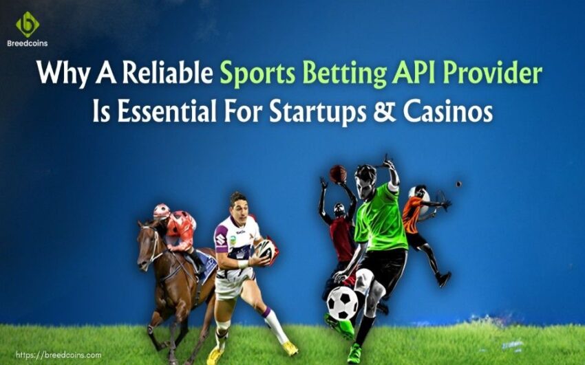 SportsBettingAPIProvider1 1