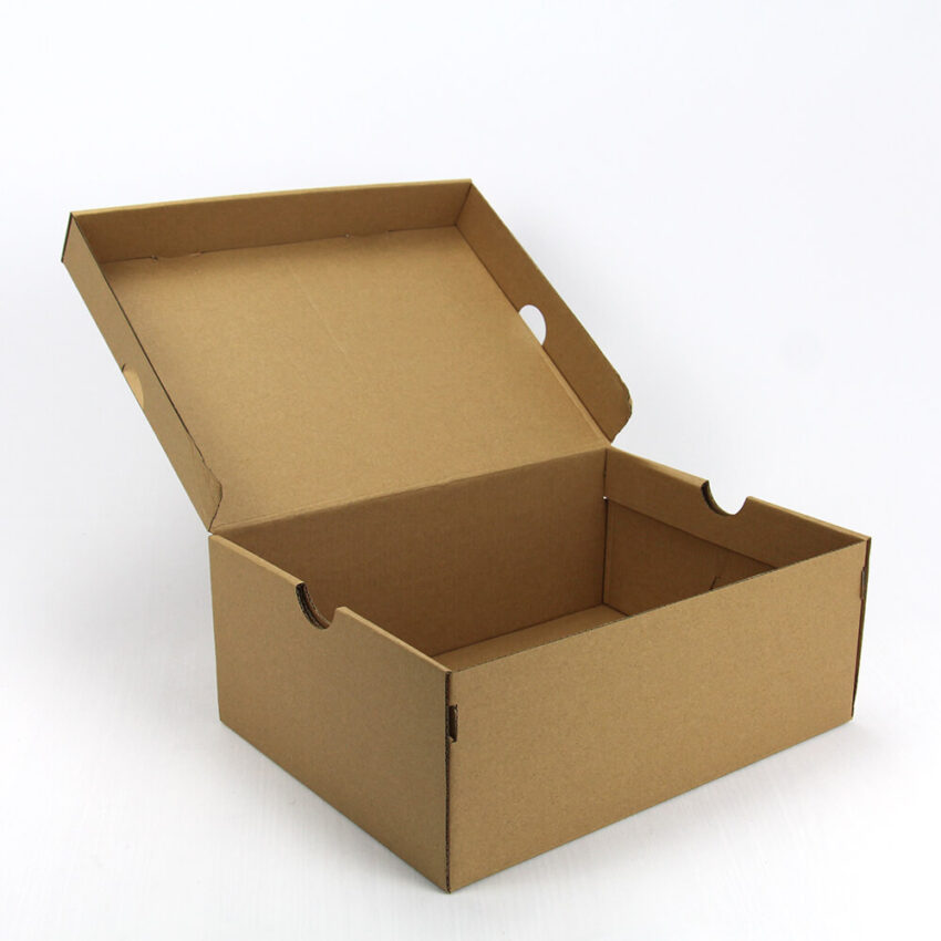 Cardboard Shoe Box