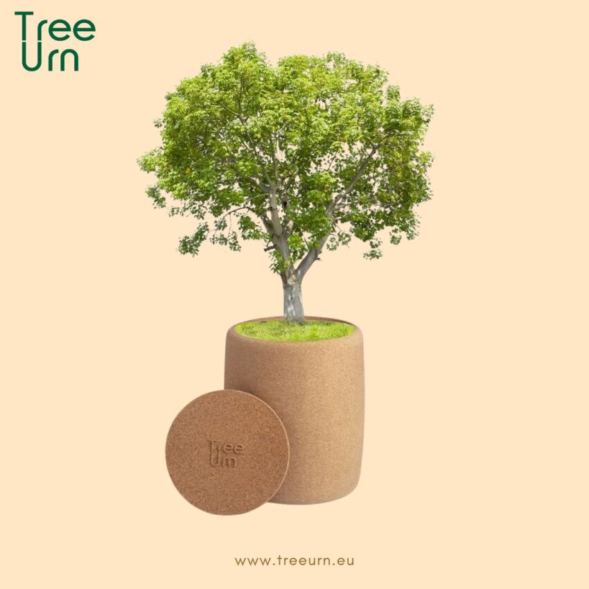 treeurn plant urn