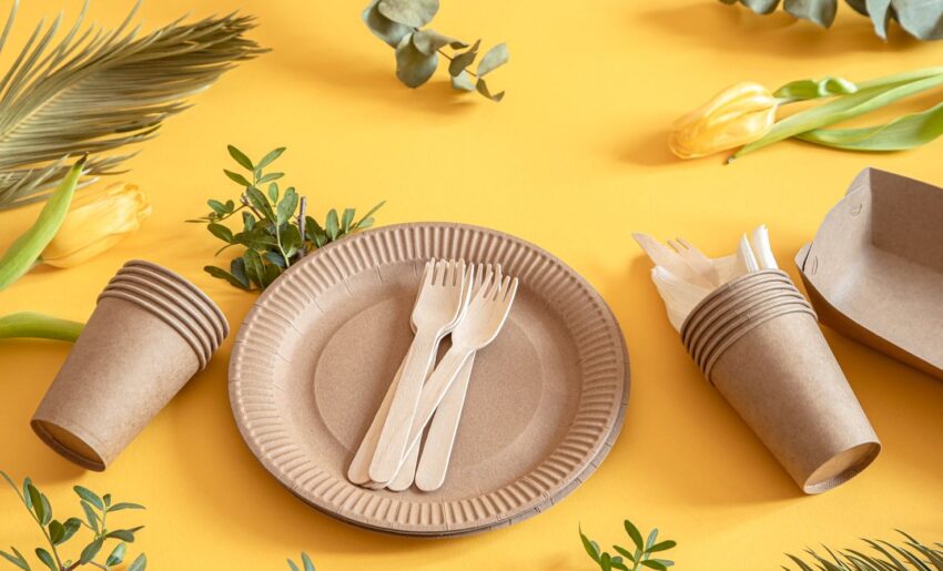 Disposable plates 72080f639a