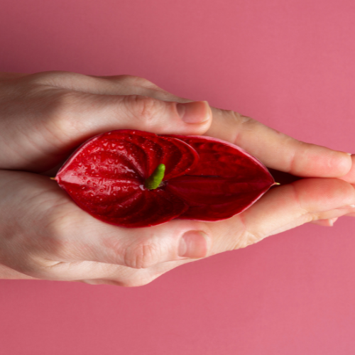 Untitled design 50 1