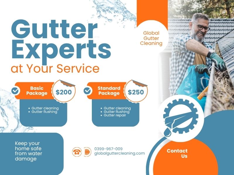 Gutter Cleaning Company in Olinda
