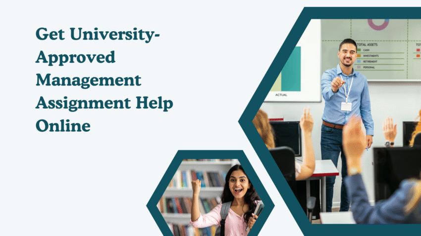 Management Assignment Help 5