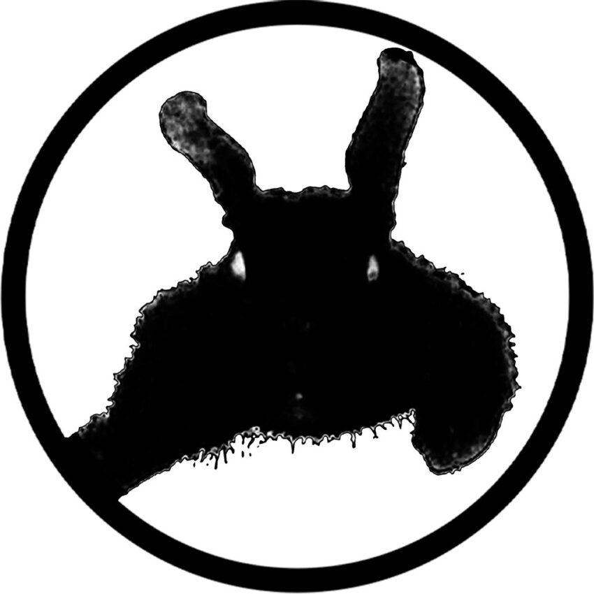 avatar f2a68149 b942 493c a1b1 cbdb67b5dd6a original