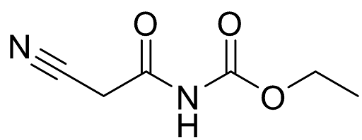 seo21 1
