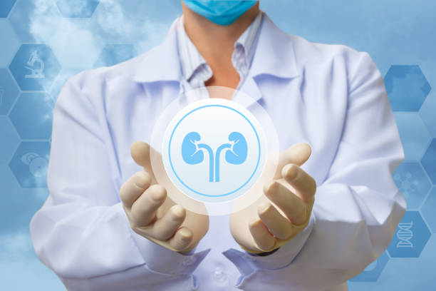 istockphoto 825989660 612x612 1