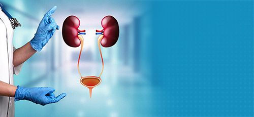 urology