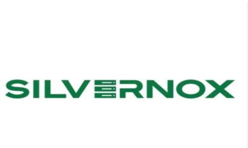 Silvernox logo 1 1 1