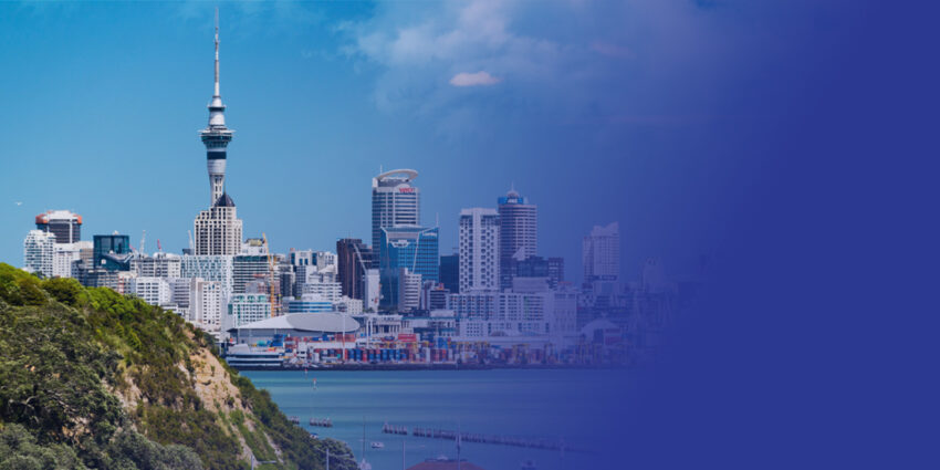 New Zealand E Invoicing