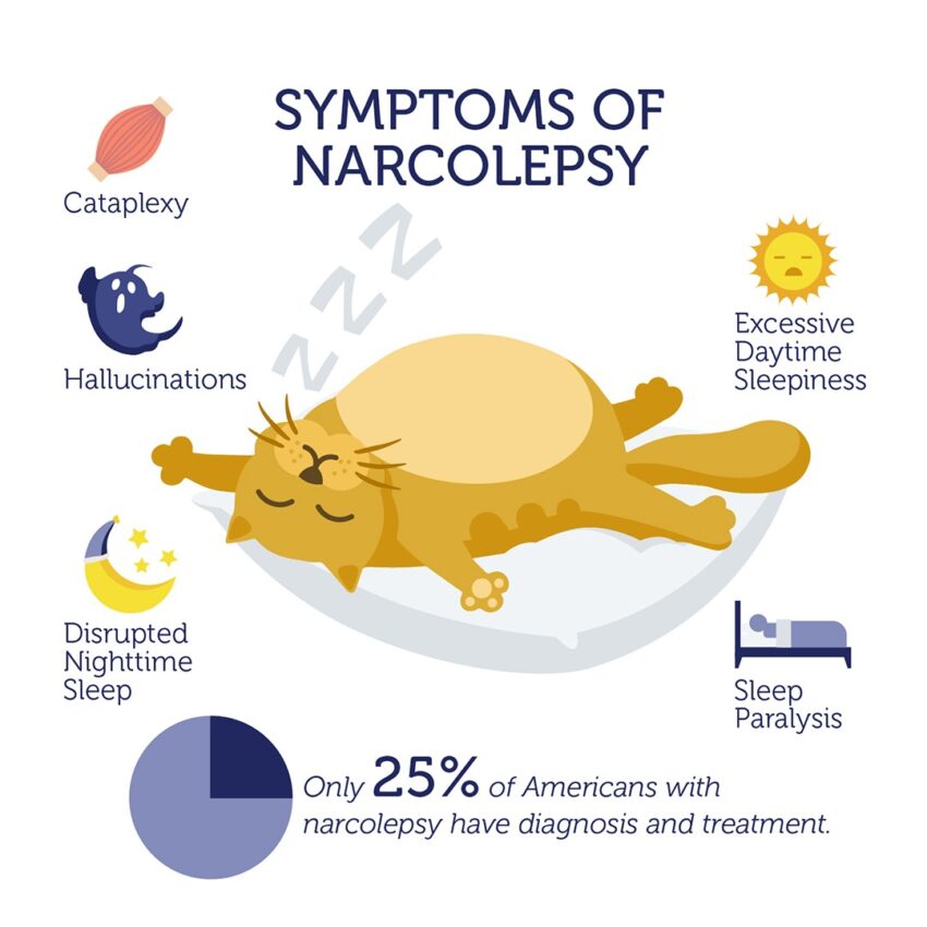 narcolepsy symptoms