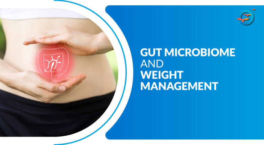 Role of the gut microbiome