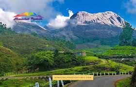 Resorts in Kothamangalam