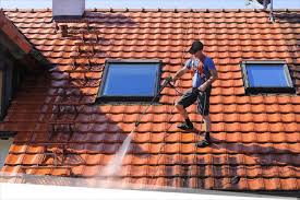 roofclean2