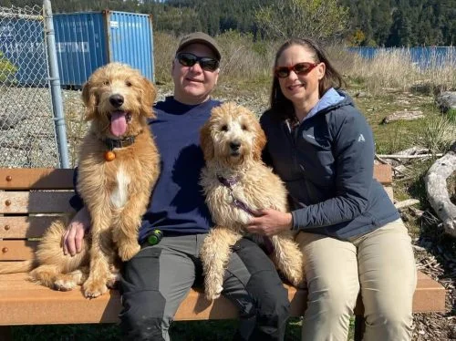 Labradoodle Breeder BC qt4wzuec9g0mibj4e9vazjb1en5pg288b4i903yf18