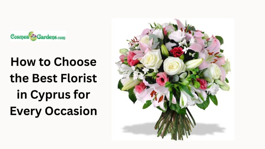 How to Choose the Best Florist in Cyprus for Every Occasion