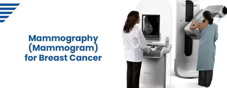 mammography breast cancer