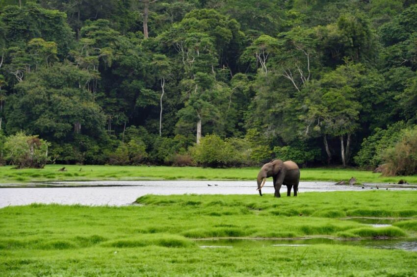 Viajes a Gabon 1024x681 2