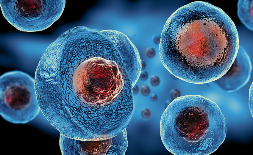 Does Mesenchymal Stem Cells ED Therapy Help Erectile Issues