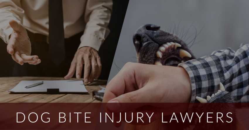 dog bite injury lawyers 5f4d1ab315e9f
