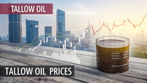 tallow oil price