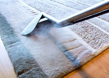 ryde carpet rug steamcleaning 2019 march 350x250 1