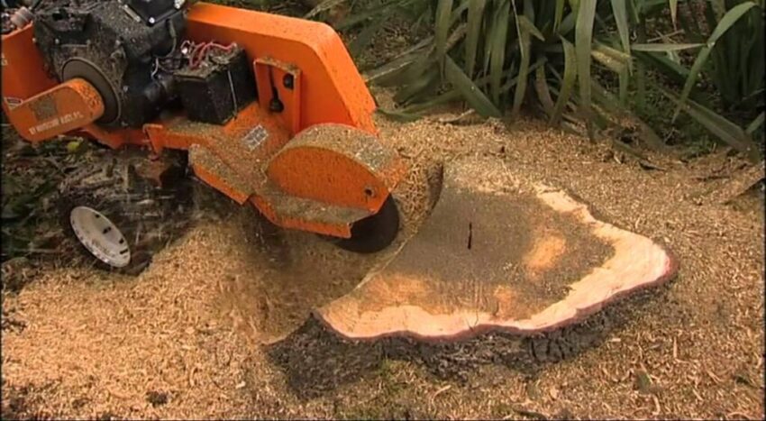 stump removal near you