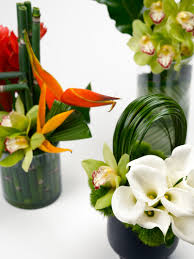 images 3