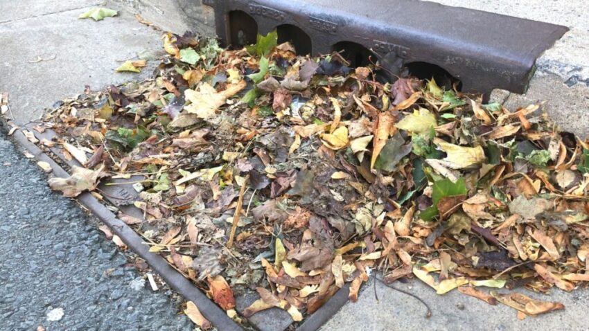7 Proven Solutions for Blocked Stormwater Drains at Your Business 1 1024x576 1