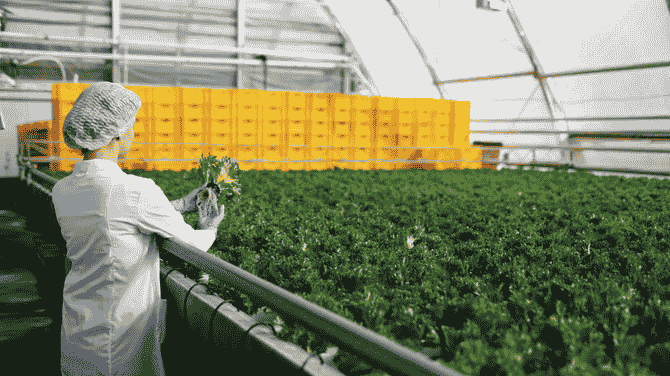 Resilient Food Supply Chains Beyond Agricultural Production