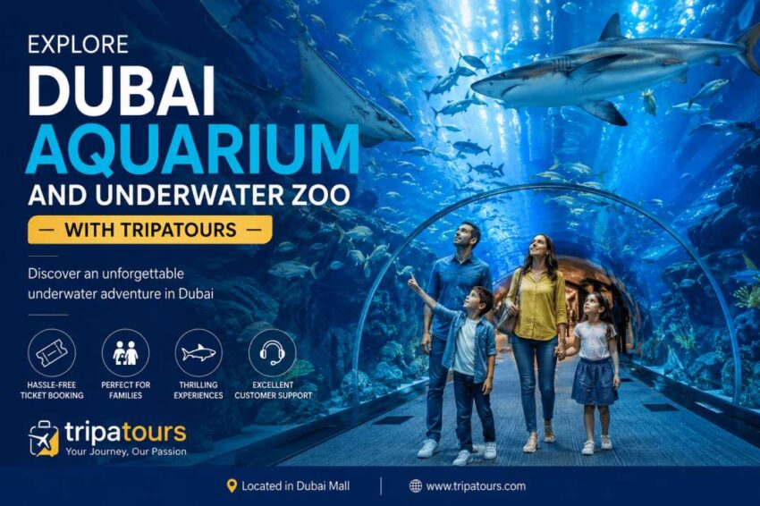 Explore Dubai Aquarium and Underwater Zoo