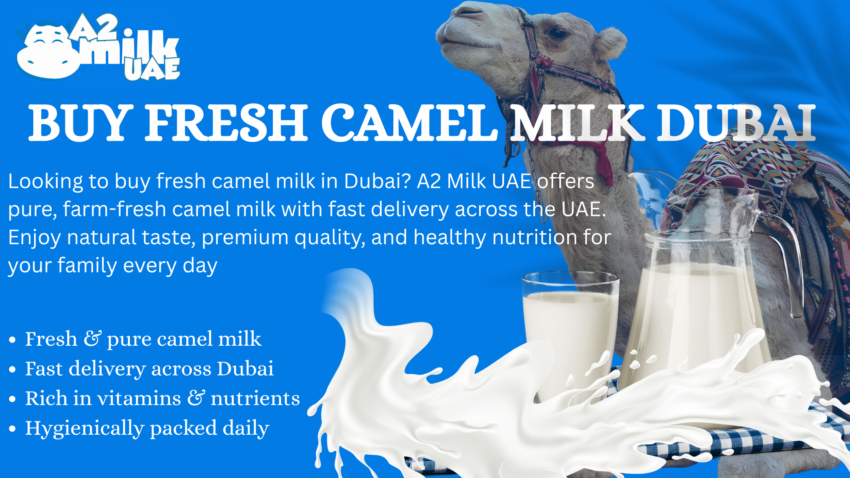 buy fresh camel milk Dubai