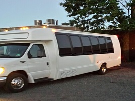 20 Pax Party Bus 21