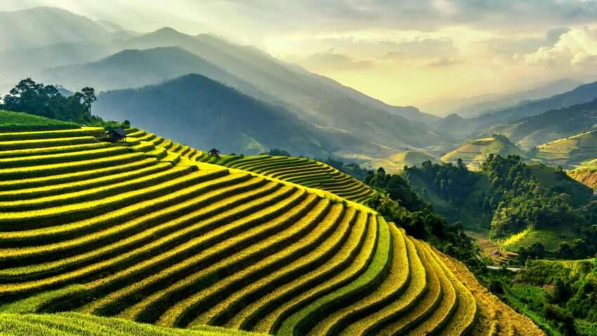 pexels thanhhoa tran 640546 1462892