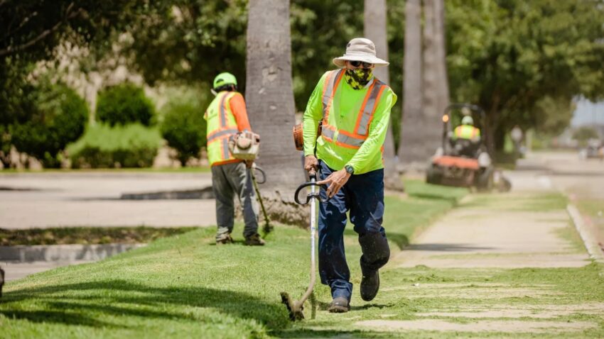How Do Seasonal Changes Affect Landscaping Maintenance Requirements