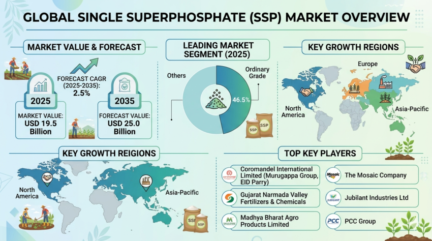 Single Superphosphate SSP Market